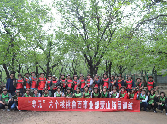 養元六個核桃魯西事業部